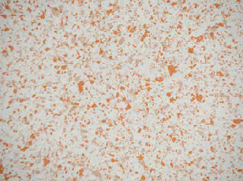 resin flooring flake