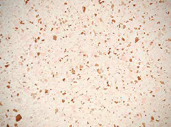 resin flooring flake